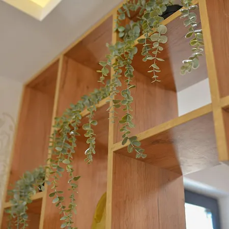 Filipovic 2 Appartement